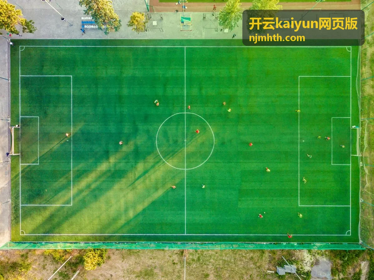 开云kaiyun网页版会员攻略封面